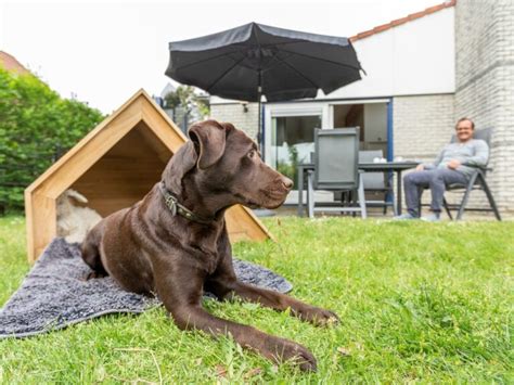 weekend weg met hond omheinde tuin|Alle vakantiehuizen met omheinde tuin voor je hond